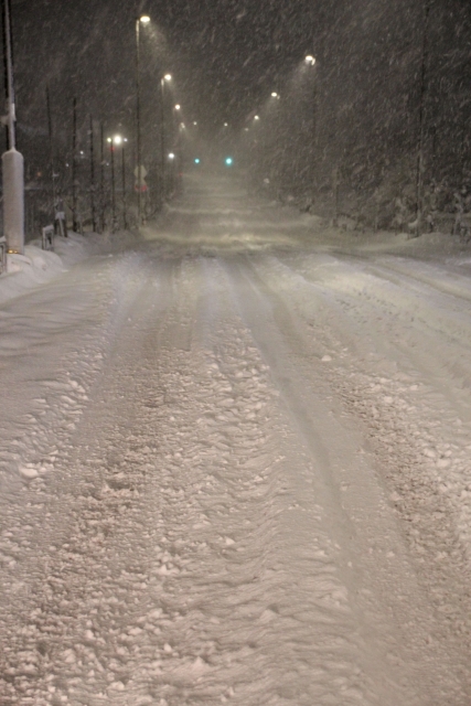 雪の積もった道路